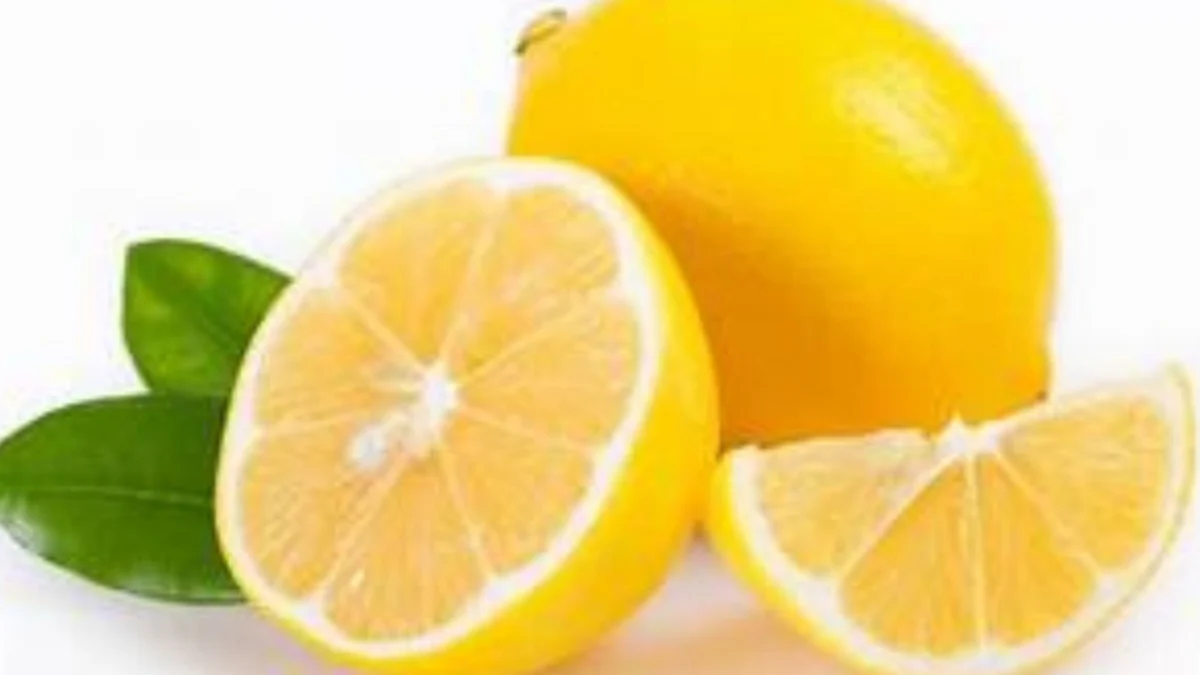 Lemon sebagai Sumber Vitamin C