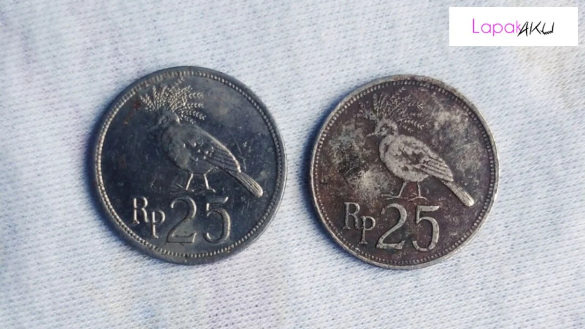 Punya Koin Kuno Rp100 Tahun 1973 dan Rp25 Tahun 1971? Tiap Kepingnya Bisa Dihargai Jutaan Hingga Puluhan Juta Oleh Kolektor