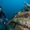 Kepulauan Raja Ampat: Bawah Laut yang Menyimpan Rahasia Harta Karun