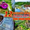 12 Tempat Wisata Bandung Terbaru dan Hits yang Wajib Dikunjungi! Cocok untuk Healing dan Liburan