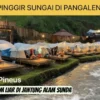Wisata Talaga Pineus Camping Pinggir Sungai di Pangalengan: Merangkul Alam Liar di Jantung Alam Sunda