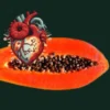 buah pepaya berfungsi menjaga kesehatan jantung