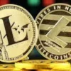 Mata Uang Kripto Litecoin (LTC), Menyediakan Pembayaran yang Cepat