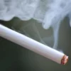 Rokok dan Kanker, Kematian yang Diracik Dengan Tangan Sendiri, Simak Penjelasannya!