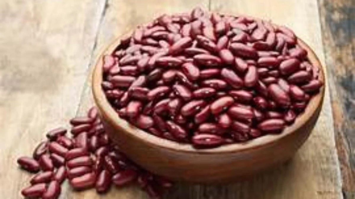 Kaya Gizi dan Nutrisi: Manfaat Kacang Merah