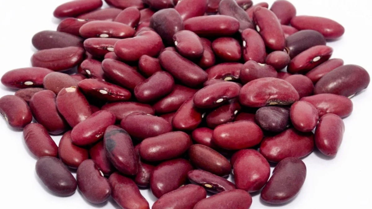 Pentingnya Kacang Merah dalam Diet Sehat