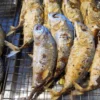 Wajib Dicoba Nih, Resep Ikan Kembung Goreng, Dijamin Anak Bakalan Lahap