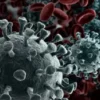 Cara Mengatasi Virus COVID-19 Dengan Benar Dan Sehat