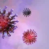 Gejala Awal Dari Virus COVID-19 Yang Dapat Bervariasi
