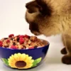 Kalian Harus Bisa Memilih Makanan Kucing yang Berkualitas, Simak Makanan Kucingnya Disini