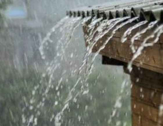 Dampak Hujan terhadap Bakteri Actinomycetes: Manfaat dan Bahayanya